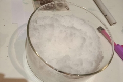 568357676_1482888543358718_6739545478075519938_n