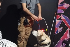 568528884_1482888553358717_3324681695030830719_n