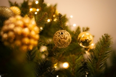 5U1A9343-Poprawione-Szum