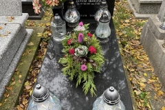 565116902_1480159710298268_6489812401717562353_n