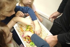 557423419_1460101222304117_4024977101072979986_n