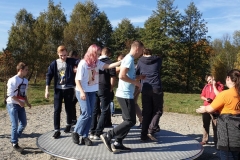 -2688740500495035403