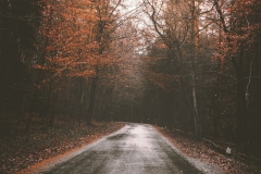 5U1A2014-Enhanced-NR