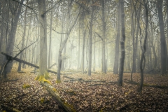 5U1A2016-Enhanced-NR