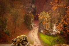 5U1A2093-Enhanced-NR