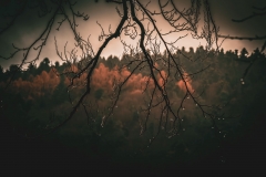 5U1A2109-Enhanced-NR