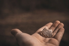 5U1A2683-Enhanced-NR