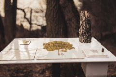 5U1A2700-Enhanced-NR