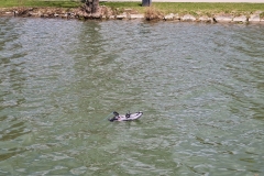 489115868_1308943057419935_5834562532952411496_n