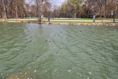 489754618_1308943090753265_8497878489405973619_n