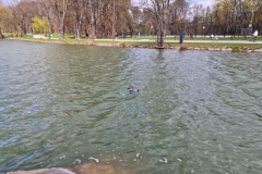 489901294_1308943130753261_8723187049129266988_n