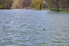 490179766_1308943020753272_3381177005705515296_n