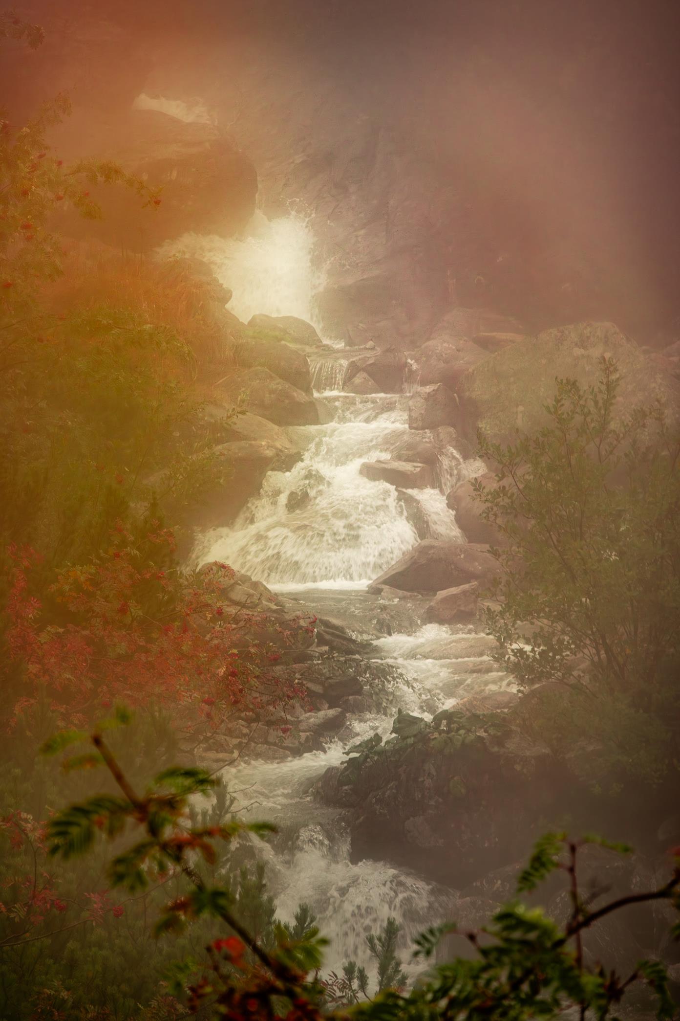 5U1A6341-Poprawione-Szum (Copy)