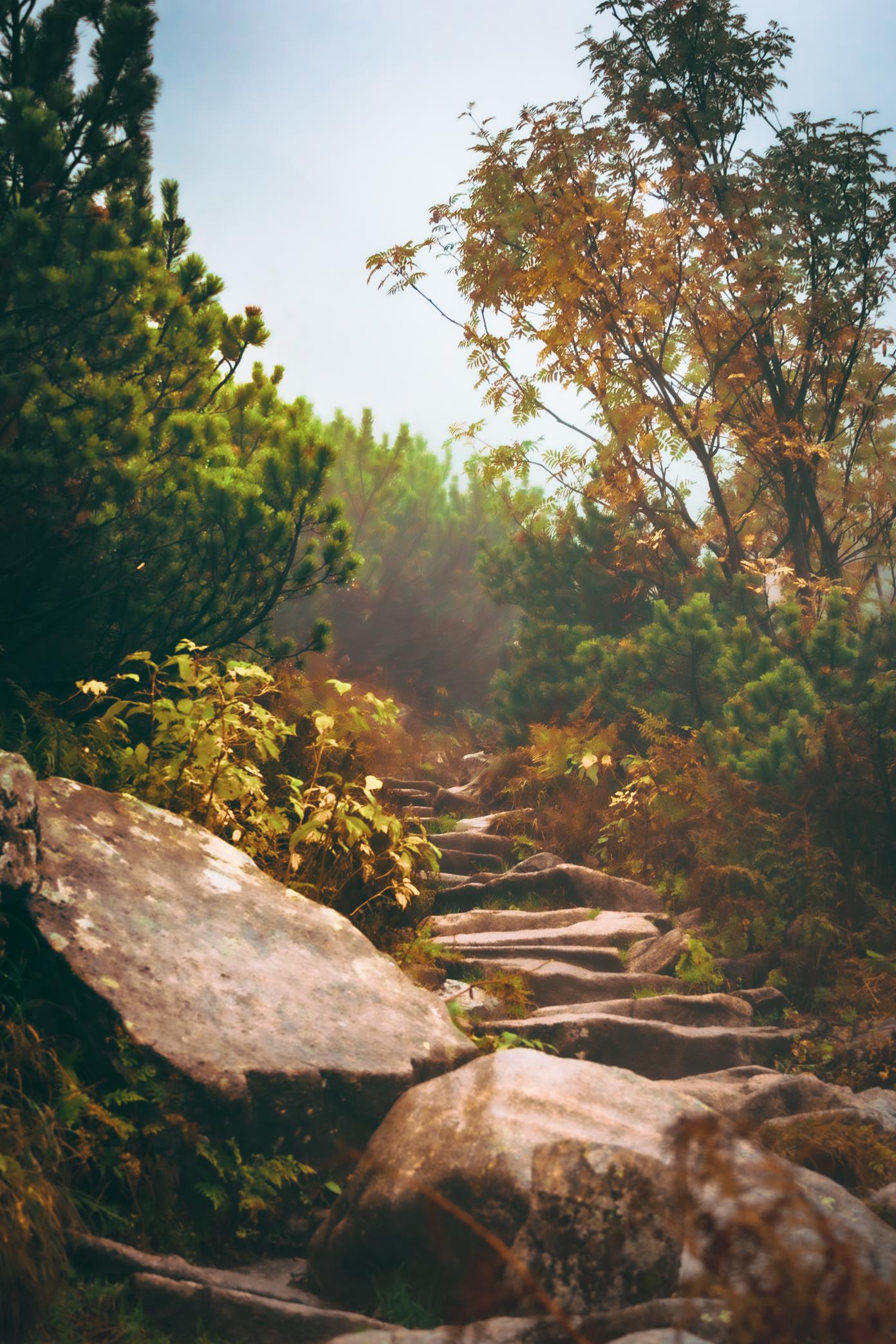 5U1A6370-Poprawione-Szum (Copy)