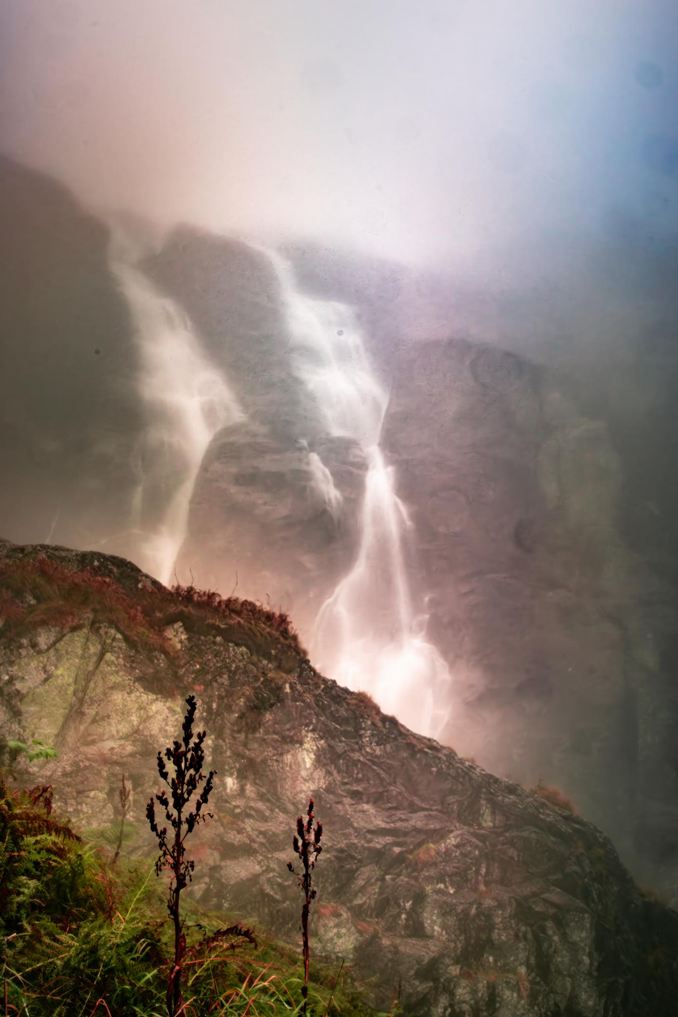 5U1A6419-Poprawione-Szum (Copy)