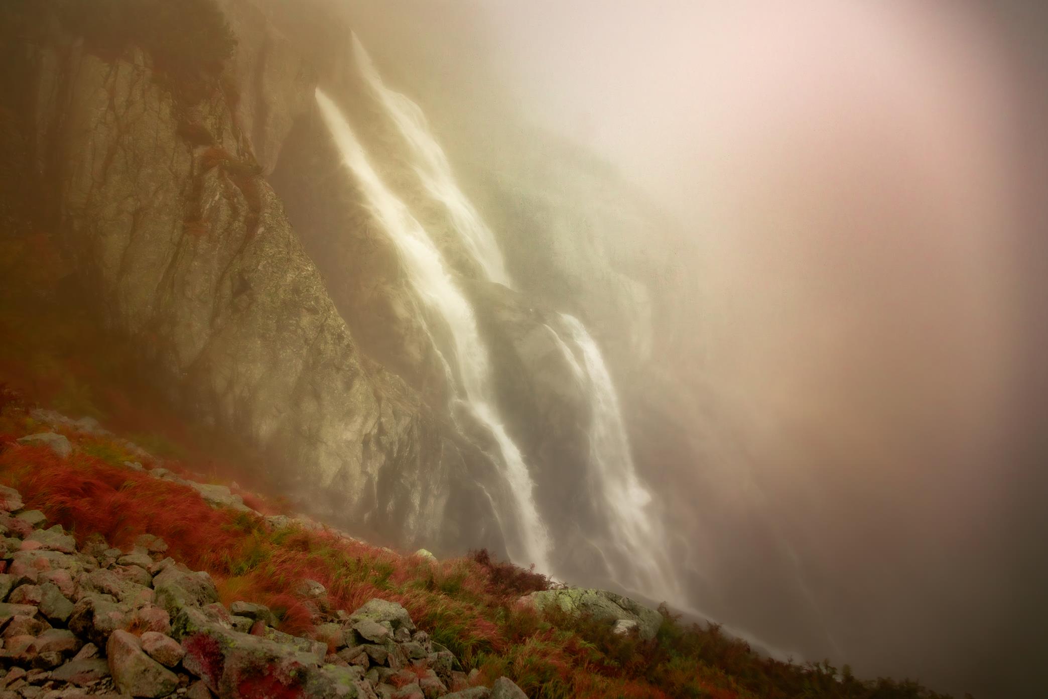 5U1A6426-Poprawione-Szum (Copy)