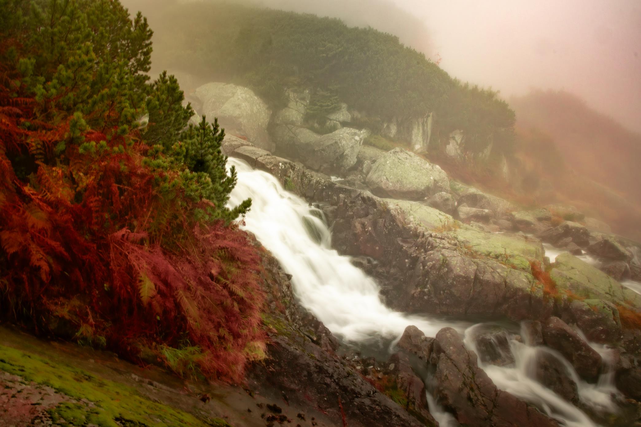 5U1A6453-Poprawione-Szum (Copy)