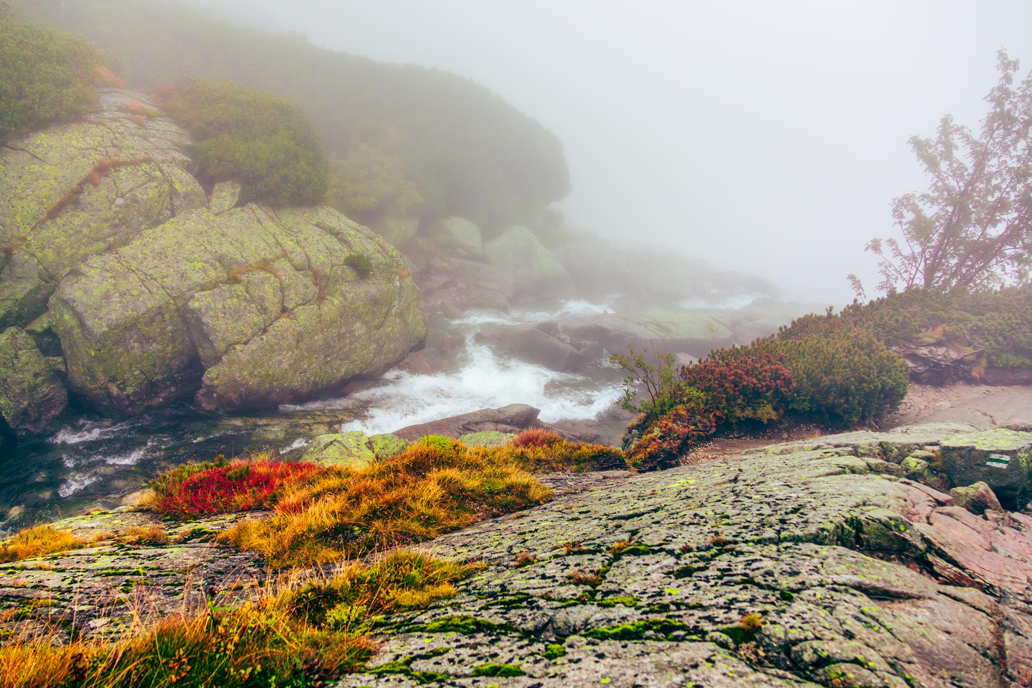 5U1A6467-Poprawione-Szum (Copy)