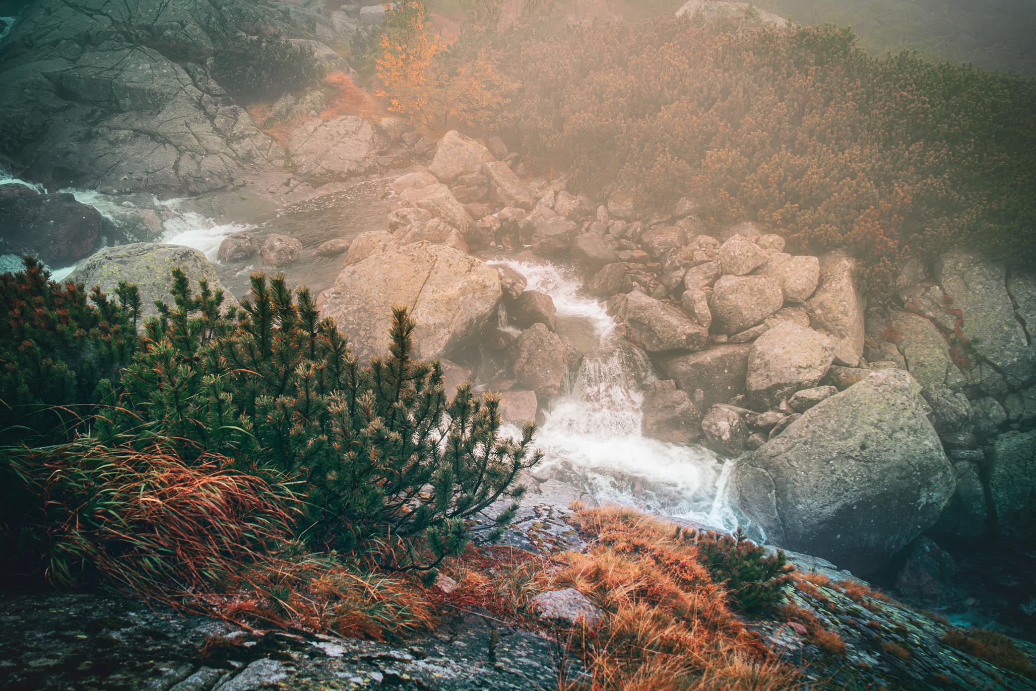 5U1A6469-Poprawione-Szum (Copy)