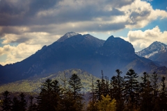 5U1A4179-Poprawione-Szum (Copy)