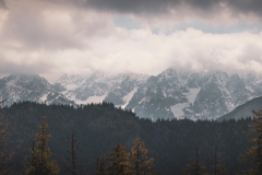 5U1A4191-Pano (Copy)