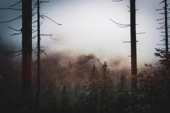 5U1A6212-Poprawione-Szum (Copy)