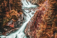 5U1A6215-Poprawione-Szum-2 (Copy)