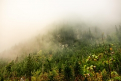 5U1A6241-Poprawione-Szum (Copy)