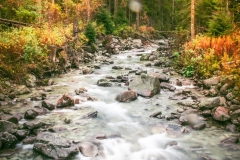 5U1A6244-Poprawione-Szum (Copy)