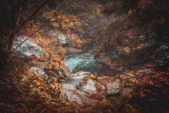 5U1A6270-Poprawione-Szum (Copy)