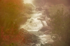 5U1A6341-Poprawione-Szum (Copy)