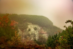 5U1A6353-Poprawione-Szum (Copy)