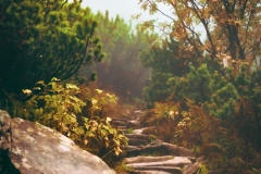 5U1A6370-Poprawione-Szum (Copy)