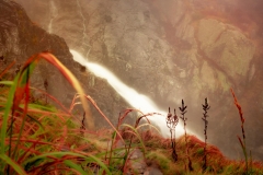 5U1A6412-Poprawione-Szum (Copy)