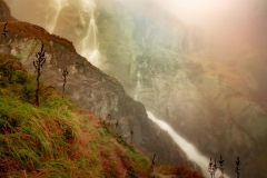 5U1A6417-Poprawione-Szum (Copy)