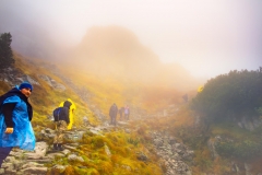 5U1A6439-Poprawione-Szum (Copy)