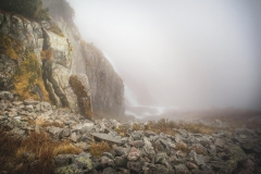 5U1A6441-Poprawione-Szum (Copy)