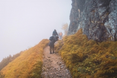 5U1A6681-Poprawione-Szum (Copy)