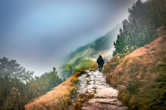 5U1A6687-Poprawione-Szum (Copy)