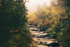 5U1A6697-Poprawione-Szum (Copy)