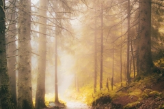 5U1A6713-Poprawione-Szum (Copy)