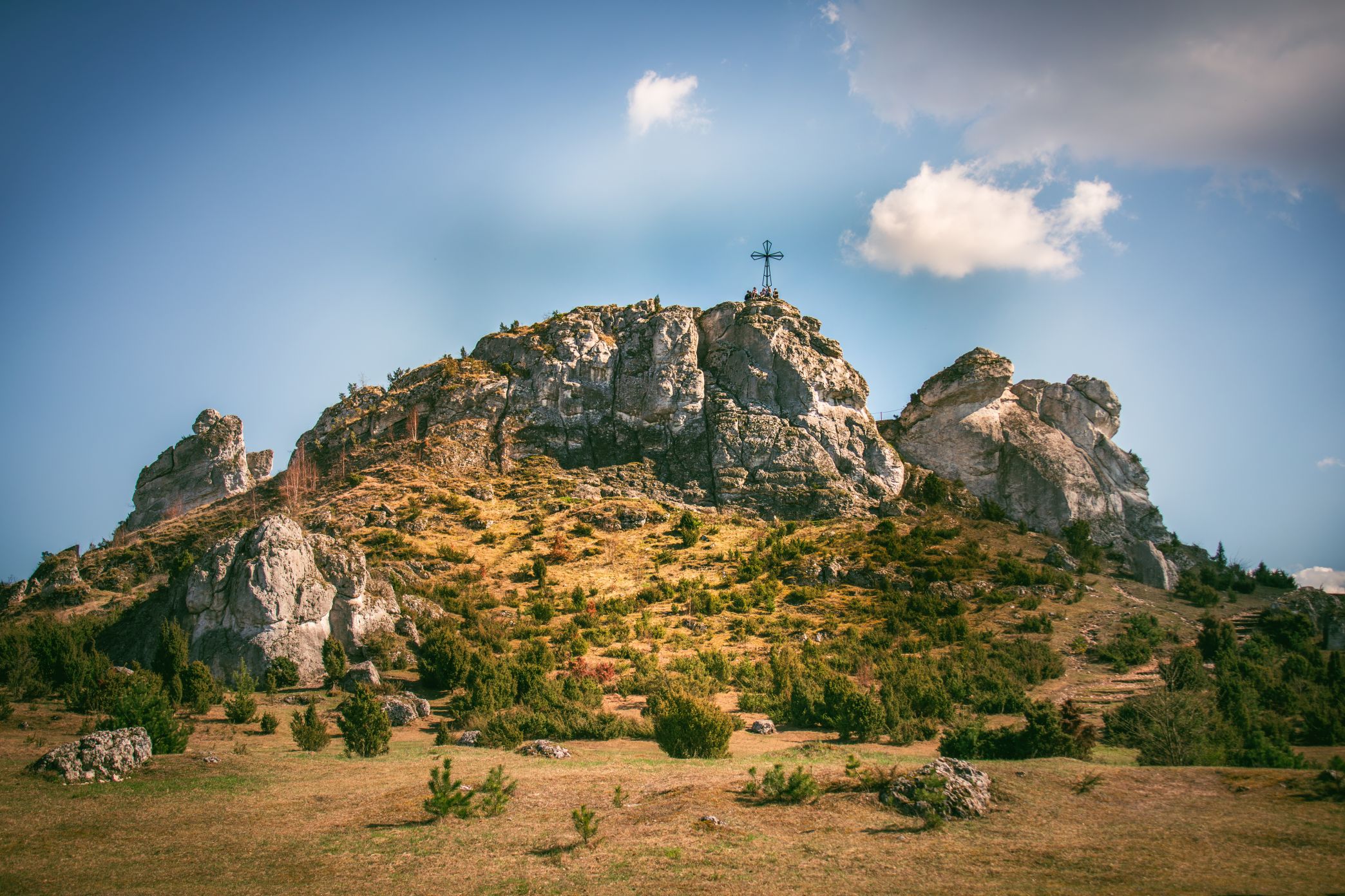 5U1A3220-Poprawione-Szum