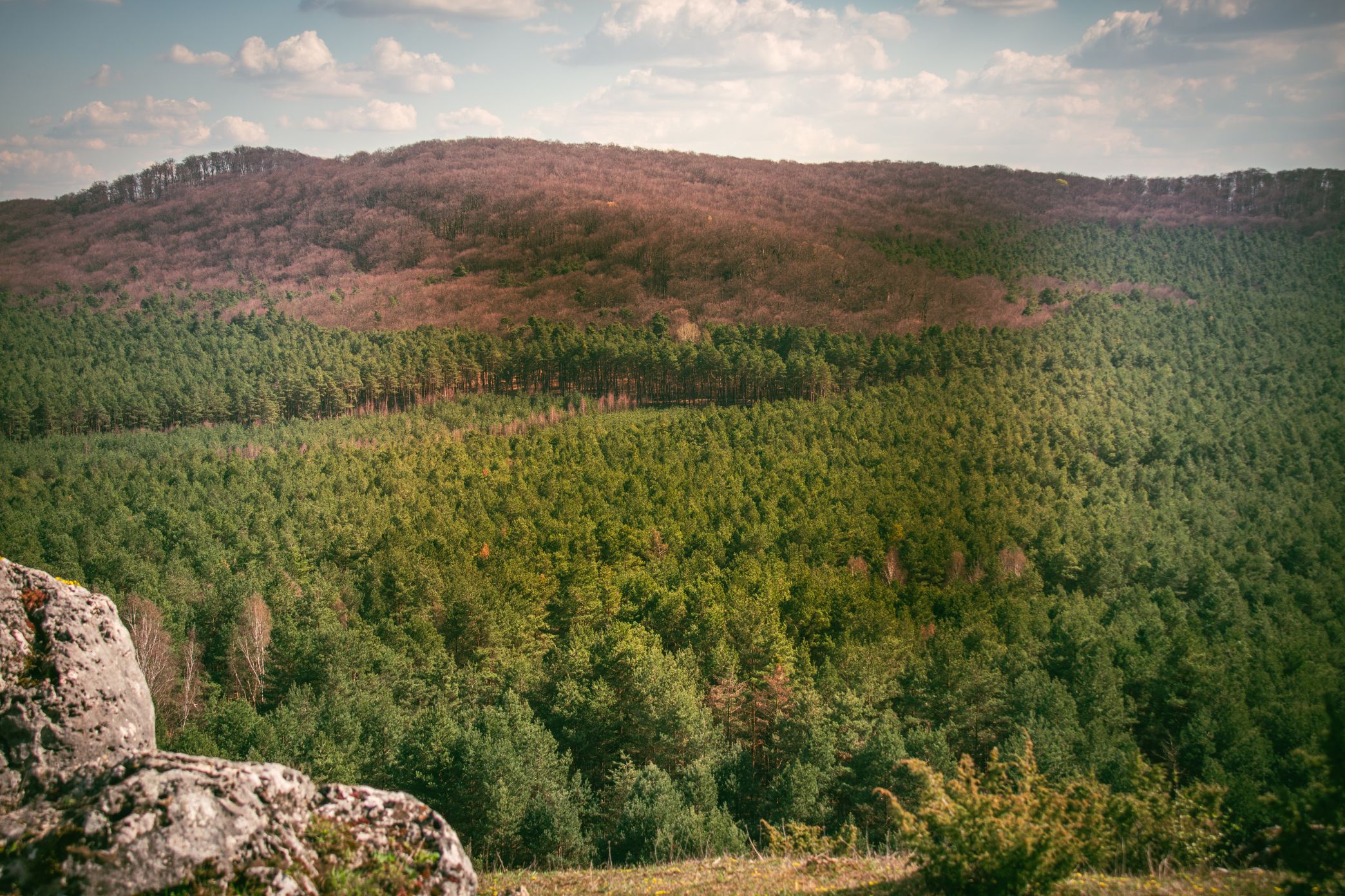 5U1A3250-Poprawione-Szum