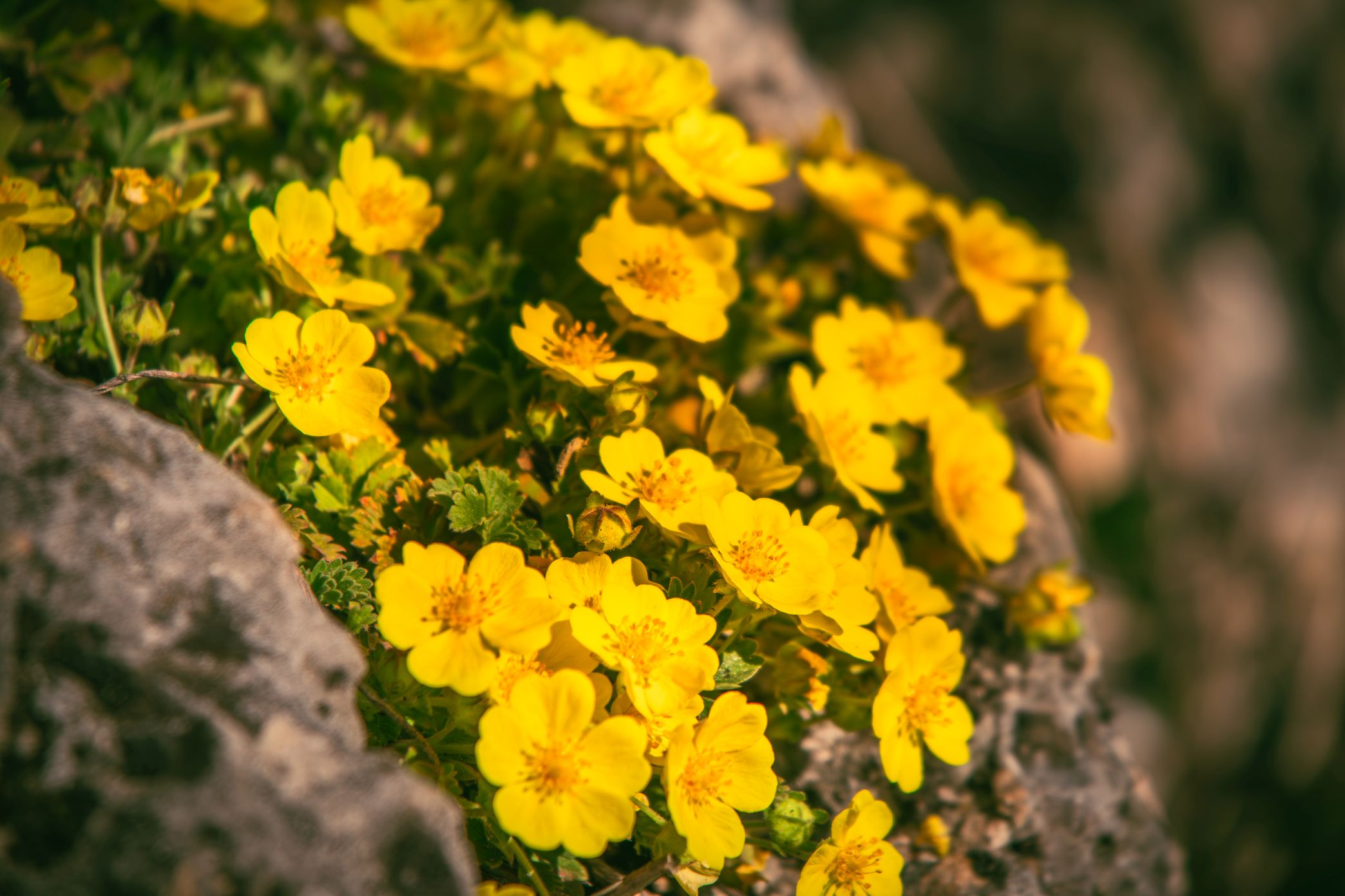 5U1A3272-Poprawione-Szum