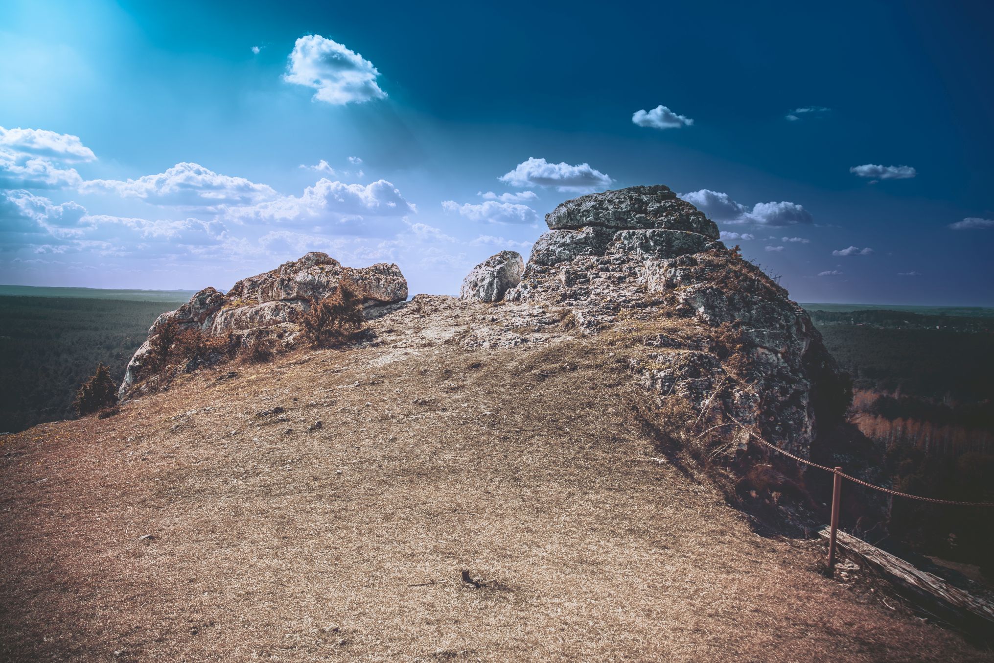 5U1A3287-Poprawione-Szum-2