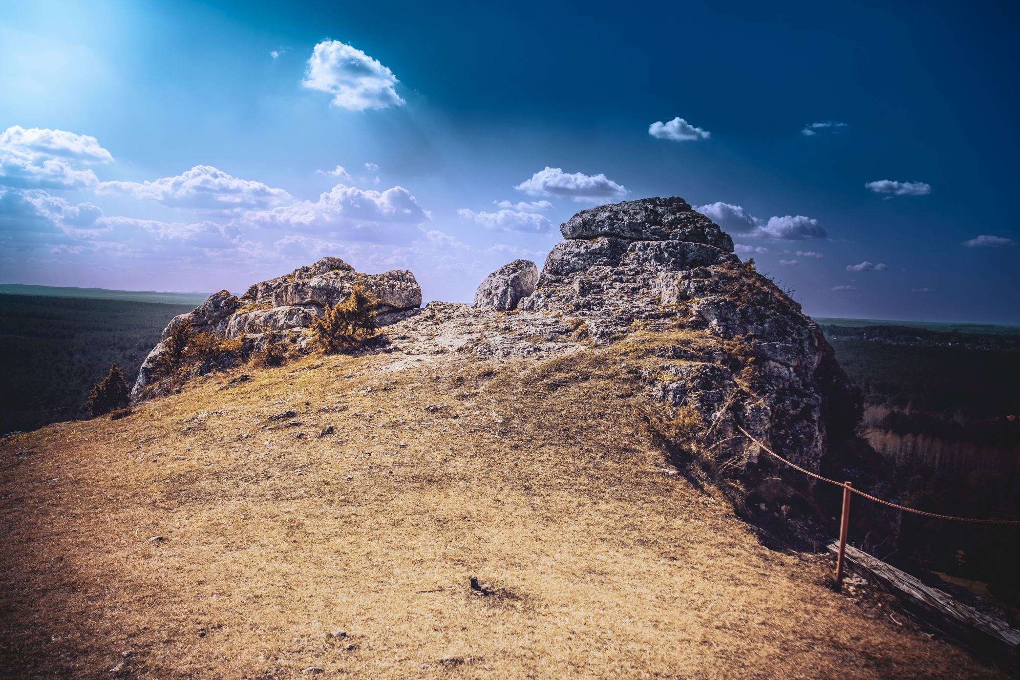 5U1A3287-Poprawione-Szum