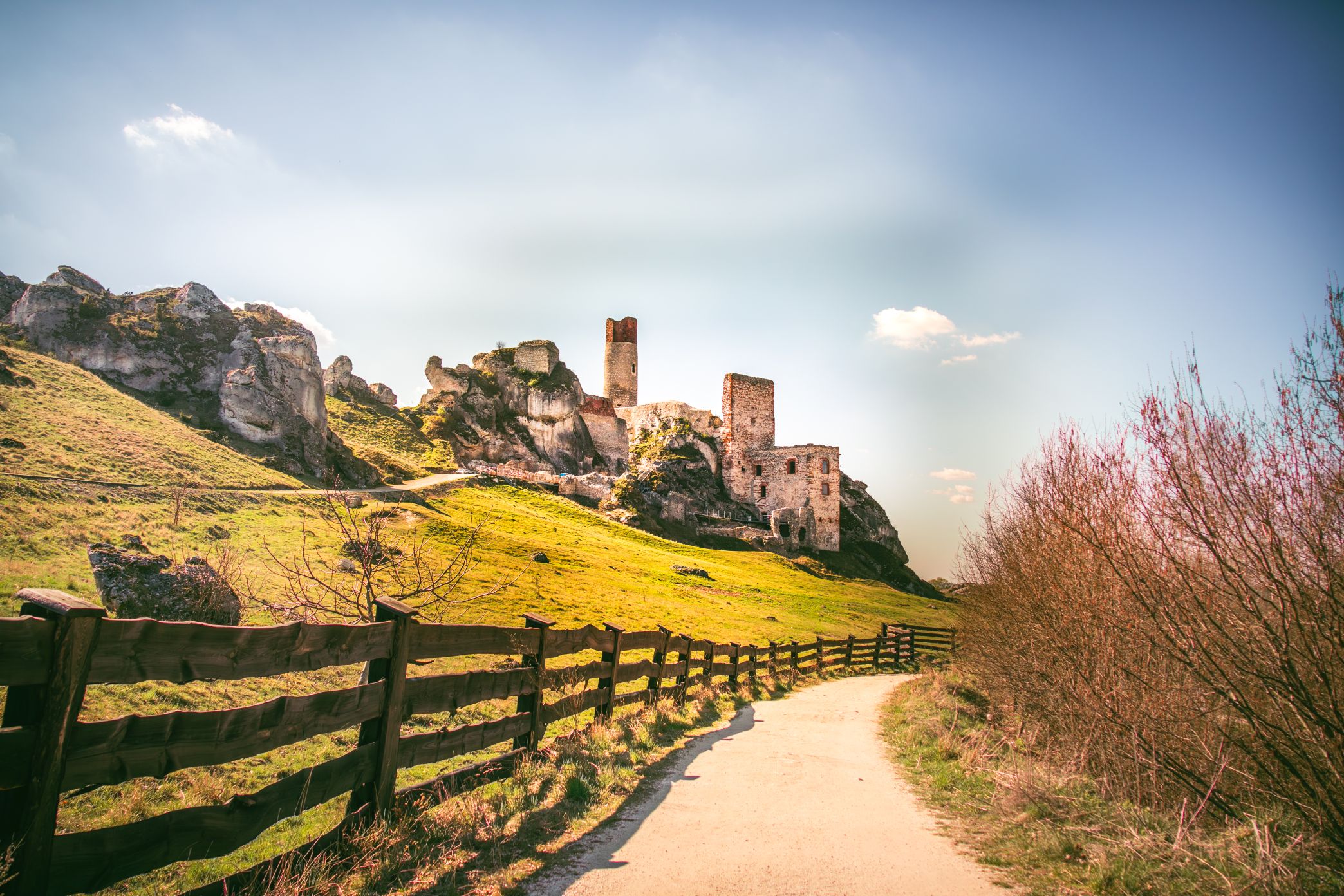 5U1A3295-Poprawione-Szum