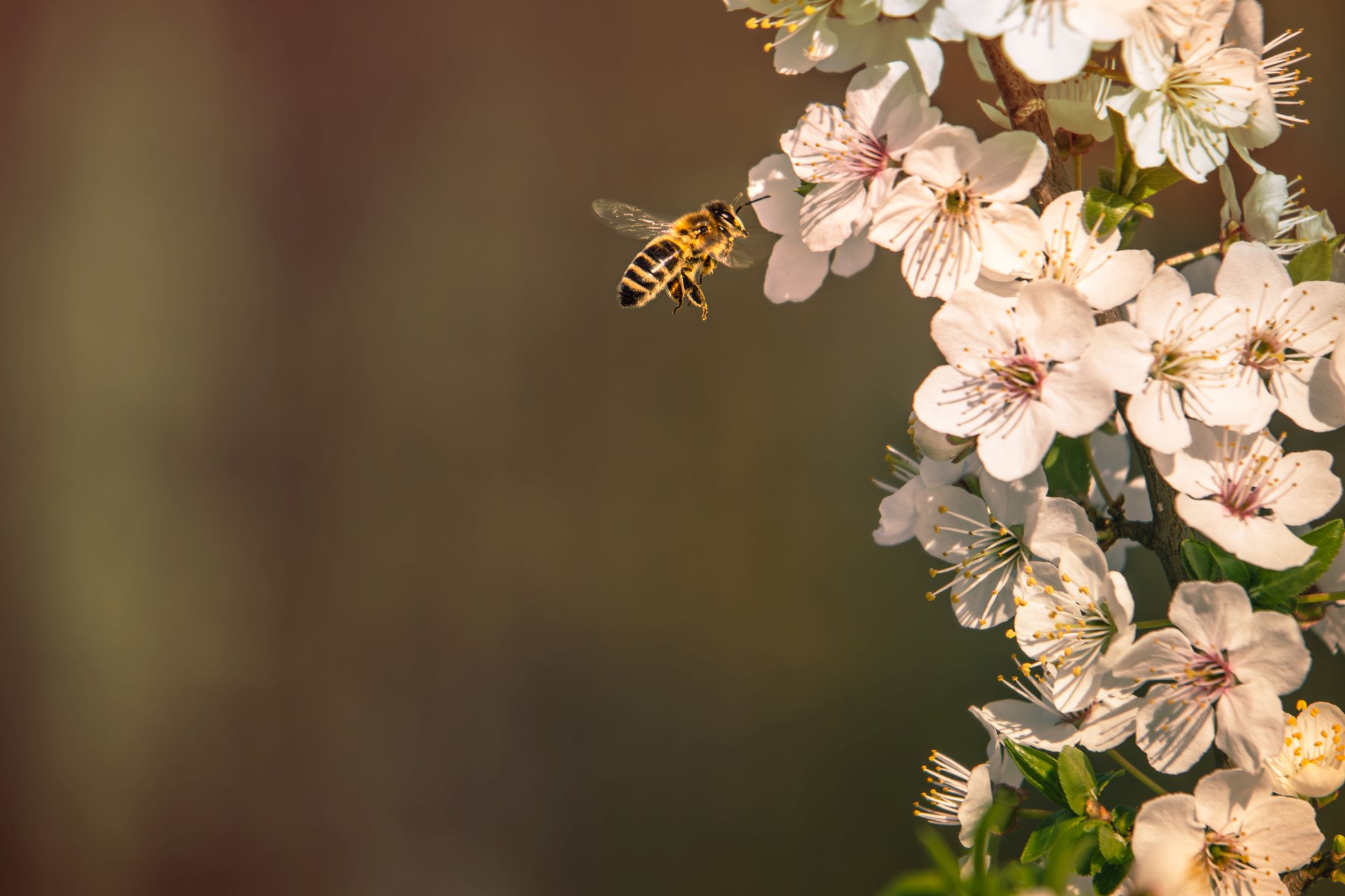 5U1A3301-Poprawione-Szum