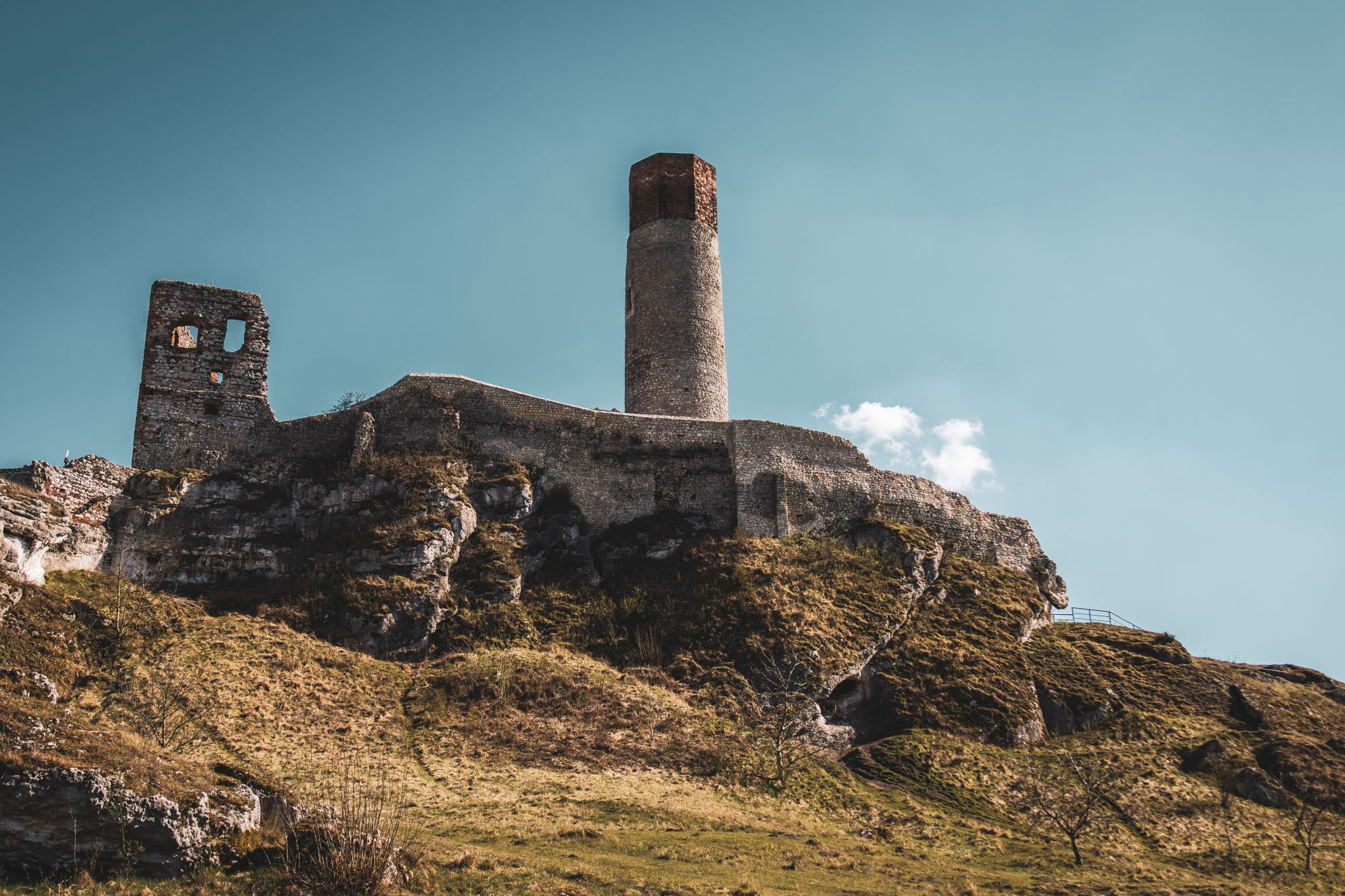 5U1A3303-Poprawione-Szum