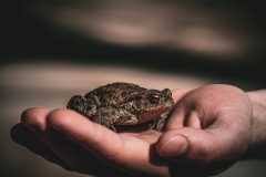 5U1A3116-Poprawione-Szum